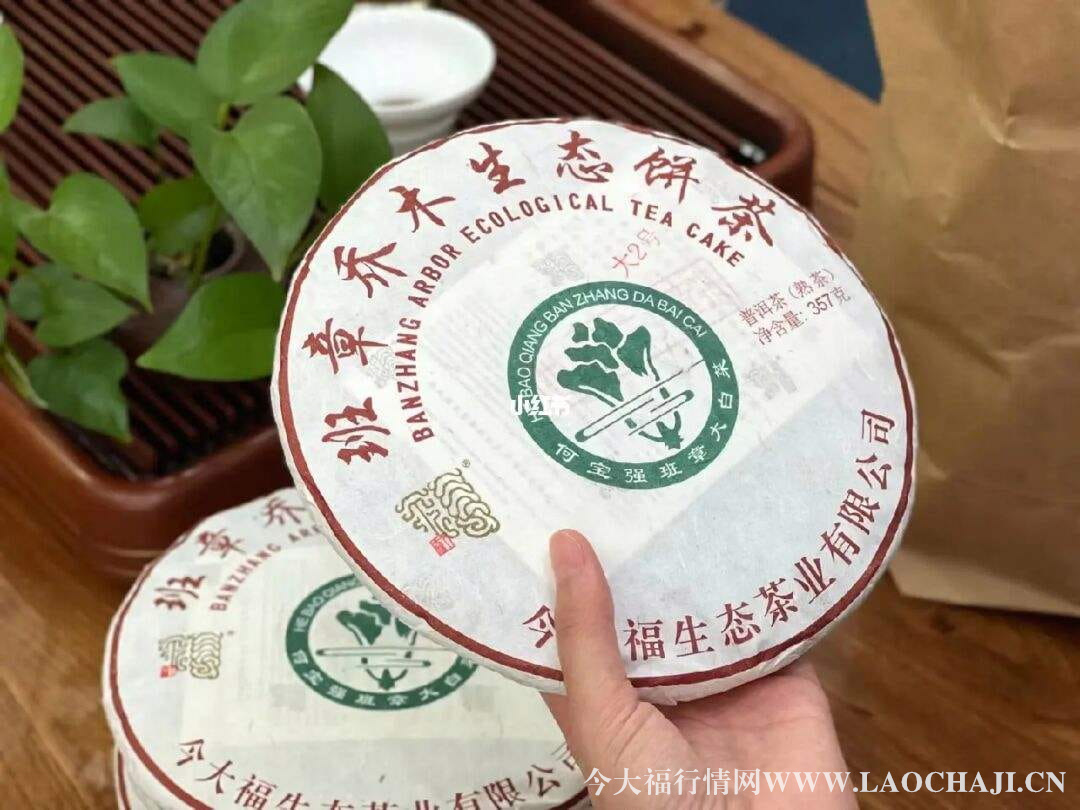 今大福普洱茶