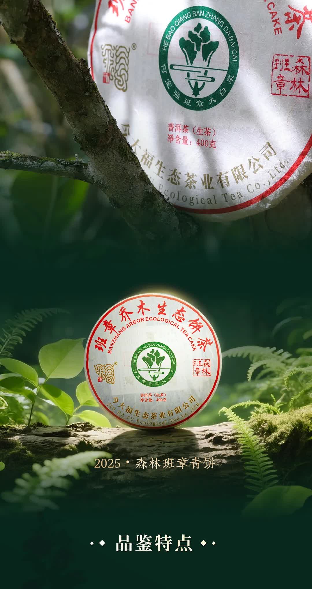 今大福2025年森林班章青饼” /><br /> </span> </p><p class=
